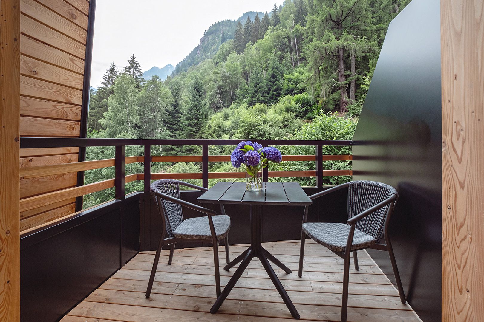 Bilocale con 1 camera da letto e vista montagna